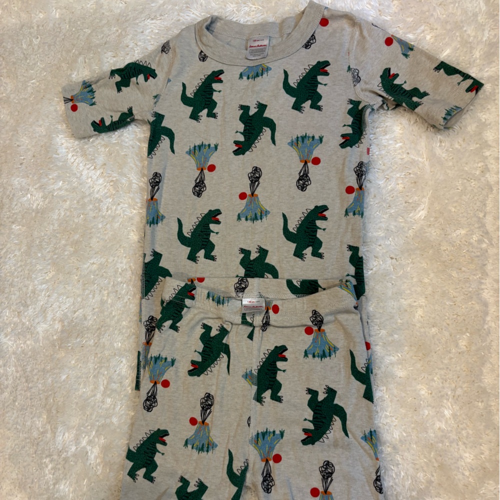 Hanna Andersson Gray Dinosaur Pajama Set